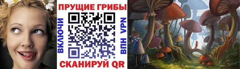 darknet какой сайт  Верещагино  KRAKEN ссылки  Псилоцибиновые грибы Psilocybine cubensis  где продают  
